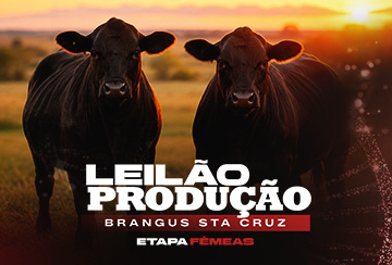 LEILÃO PRODUÇÃO BRANGUS STA CRUZ - ETAPA FÊMEAS